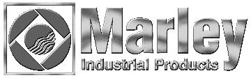 QMark Logo